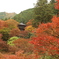 高源寺（兵庫県）　紅葉