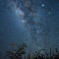 西表島の星空