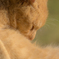 B81A0633-850B-450A-9327-2045B181DE84