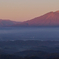 Red iwate