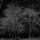 DSCF1443