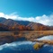 秋深まる早朝の水辺