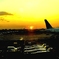 Sun Shine