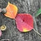 足下の秋　〜Autumn  in the Footsteps〜