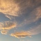 CE0B9C65-B913-4166-9CA4-CA6AC0CF5DB9