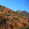 紅葉と鶏冠山
