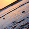 田沢湖1