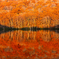 Morning mirror