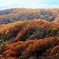 大山･蒜山の紅葉 ③