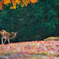 秋　紅葉の始まった奈良公園