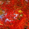 紅のトンネル