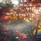 盛岡市中央公民館　紅葉　ゴースト写真（HELIOS 44-2)