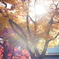 盛岡市中央公民館　紅葉　ゴースト写真（HELIOS 44-2)