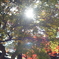 盛岡市中央公民館　紅葉　ゴースト写真（HELIOS 44-2)