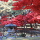 盛岡市中央公民館　庭園　紅葉　２