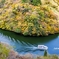 庄川峡の紅葉