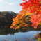 八塩ダム湖の紅葉