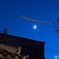 夜空を見上げると