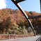 山、燃るゆ