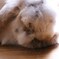 ぐっすり