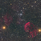 The Jellyfish Nebula