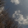 空