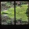 庭園リフレクション②