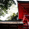 D FA 21mmF2.4ED Limited の試写その2