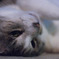そろそろ眠い