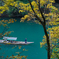 黄・緑