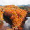 旭川ダムの紅葉