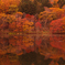 水面の紅葉