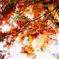 花園の紅葉