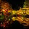 宝生寺 紅葉ライトアップ