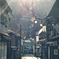 参道の朝
