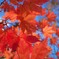 紅葉⑦