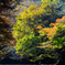 四万湖 紅葉カヤック2021