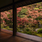 蓮華寺の紅葉