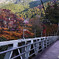 紅葉狩りの始まりは楓橋