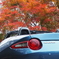 オープンカーで紅葉