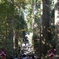 箱根神社
