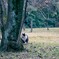 初冬