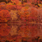 紅葉と池