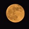 4CBB6B7A-B898-4D97-B81E-CF10BA70A08F