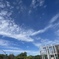 龍雲？