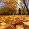 Who found a little autumn?