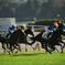 東京競馬場から