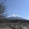 朝霧高原富士