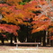 小矢部　紅葉