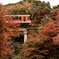 紅葉層